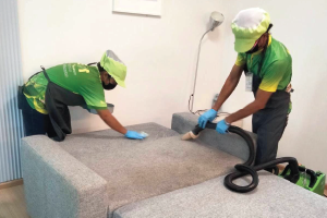 ซักโซฟา